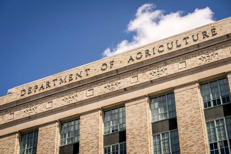 Auditoria fiscal federal