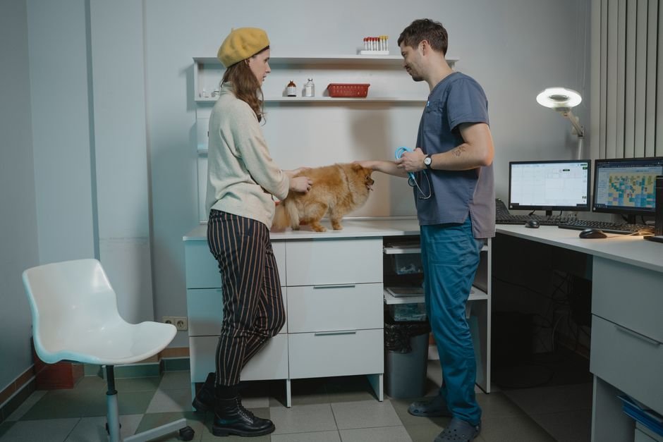 Como é o mercado de trabalho para veterinários