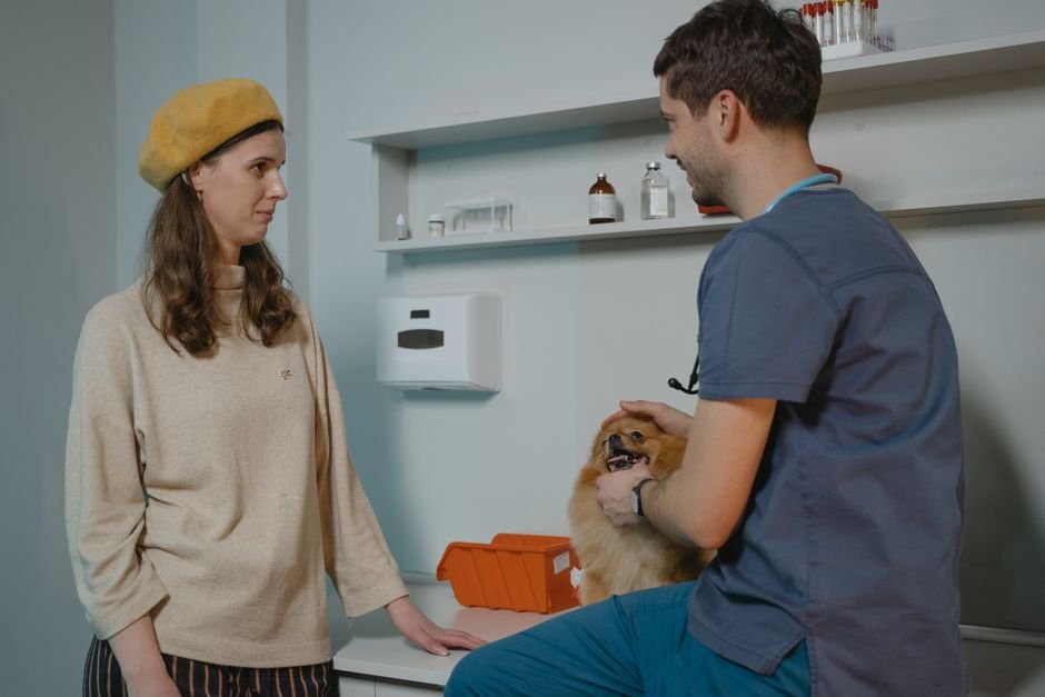 Habilidades importantes para a profissão