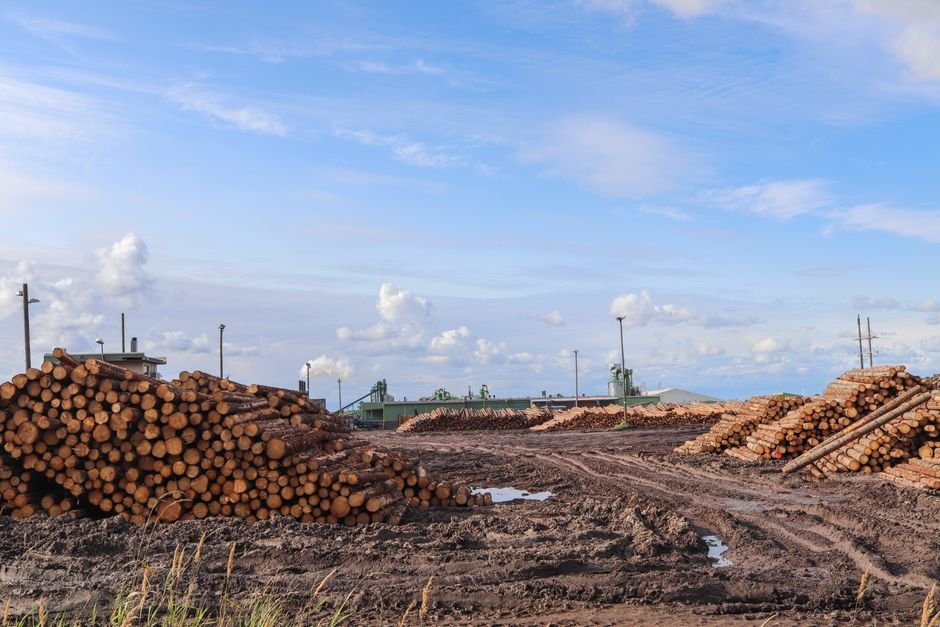 Indústria de base florestal