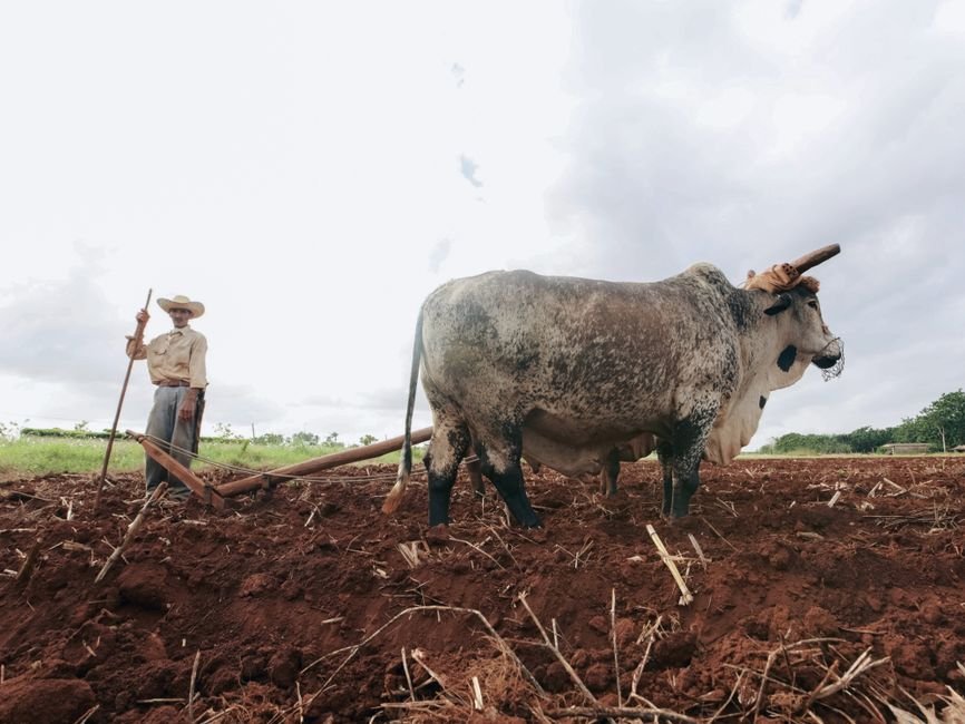Meteorologia para agricultura