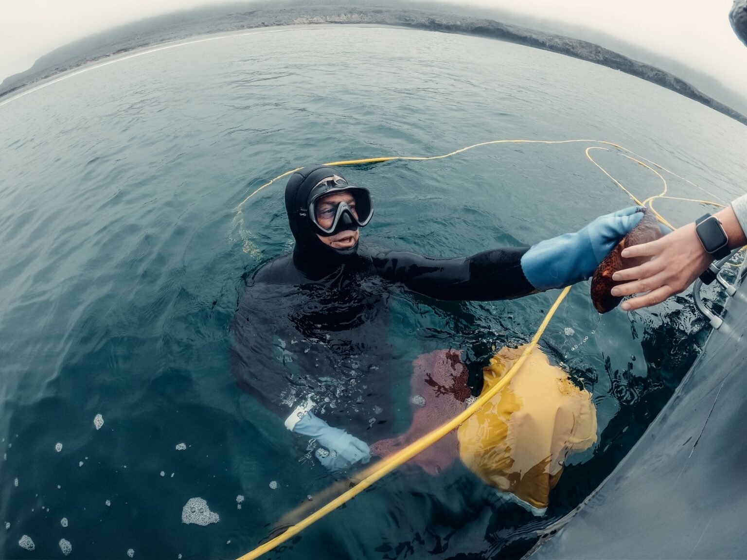 O Que Faz um Oceanógrafo: O Cientista Que Estuda os Mares O Que Faz um Oceanógrafo: O Cientista Que Estuda os Mares