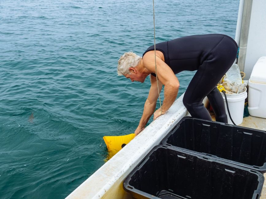 O que faz o oceanógrafo