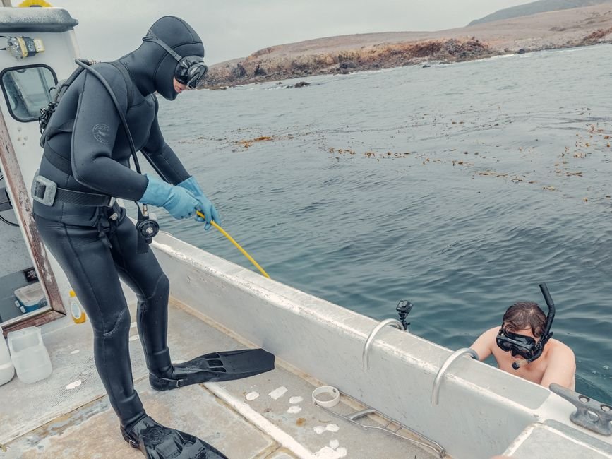 Onde estudar oceanografia