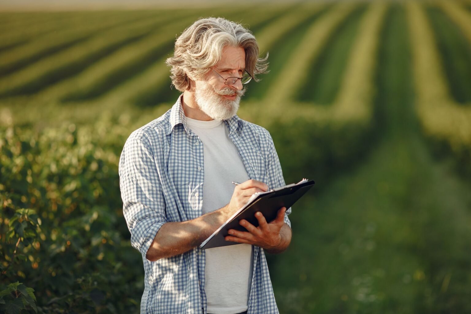 O Que Faz um Engenheiro Agrônomo: O Profissional Que Sustenta a Produção de Alimentos