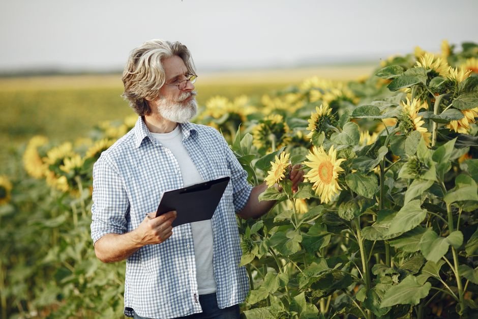 Como se tornar engenheiro agrônomo