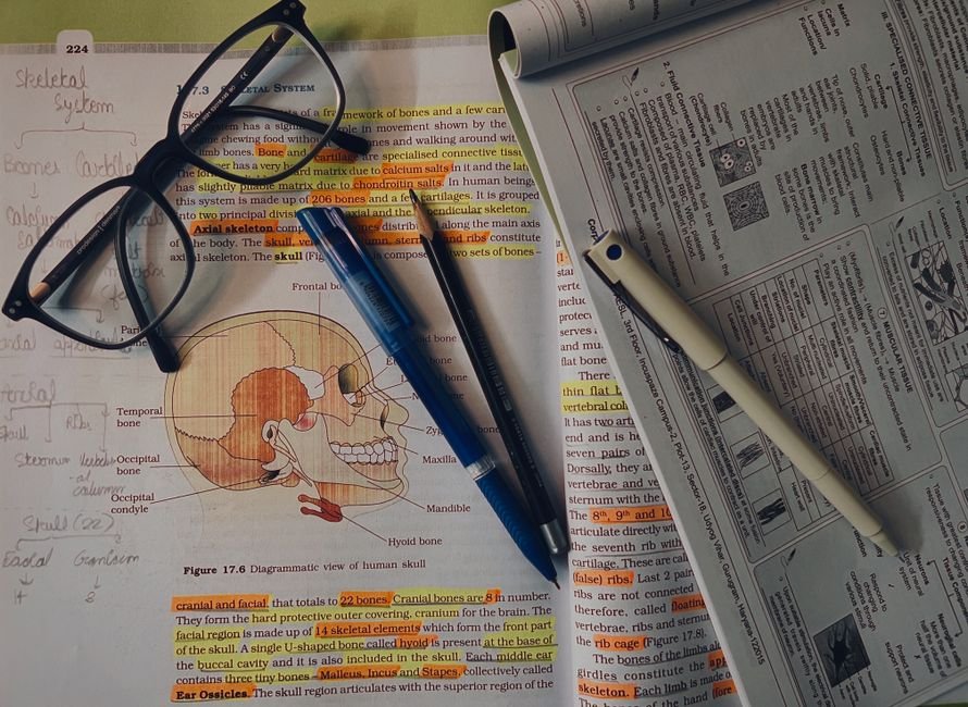 Onde estudar e como se formar