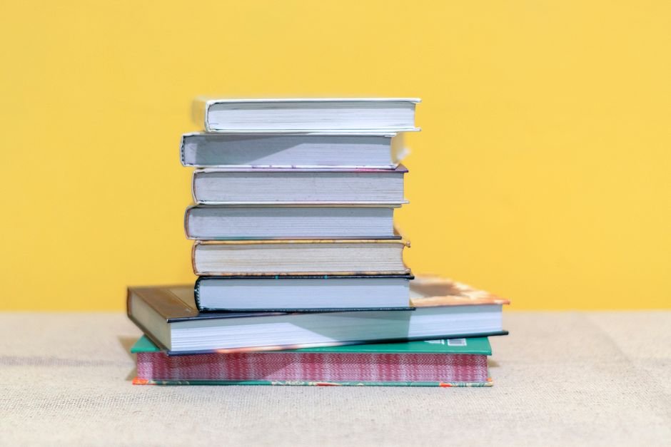 Primeiro terço do prazo: revisão bibliográfica